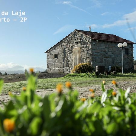 Vila Da Laje - Onde A Natureza O Envolve - Serra Da Estrela Oliveira do Hospital Exteriör bild