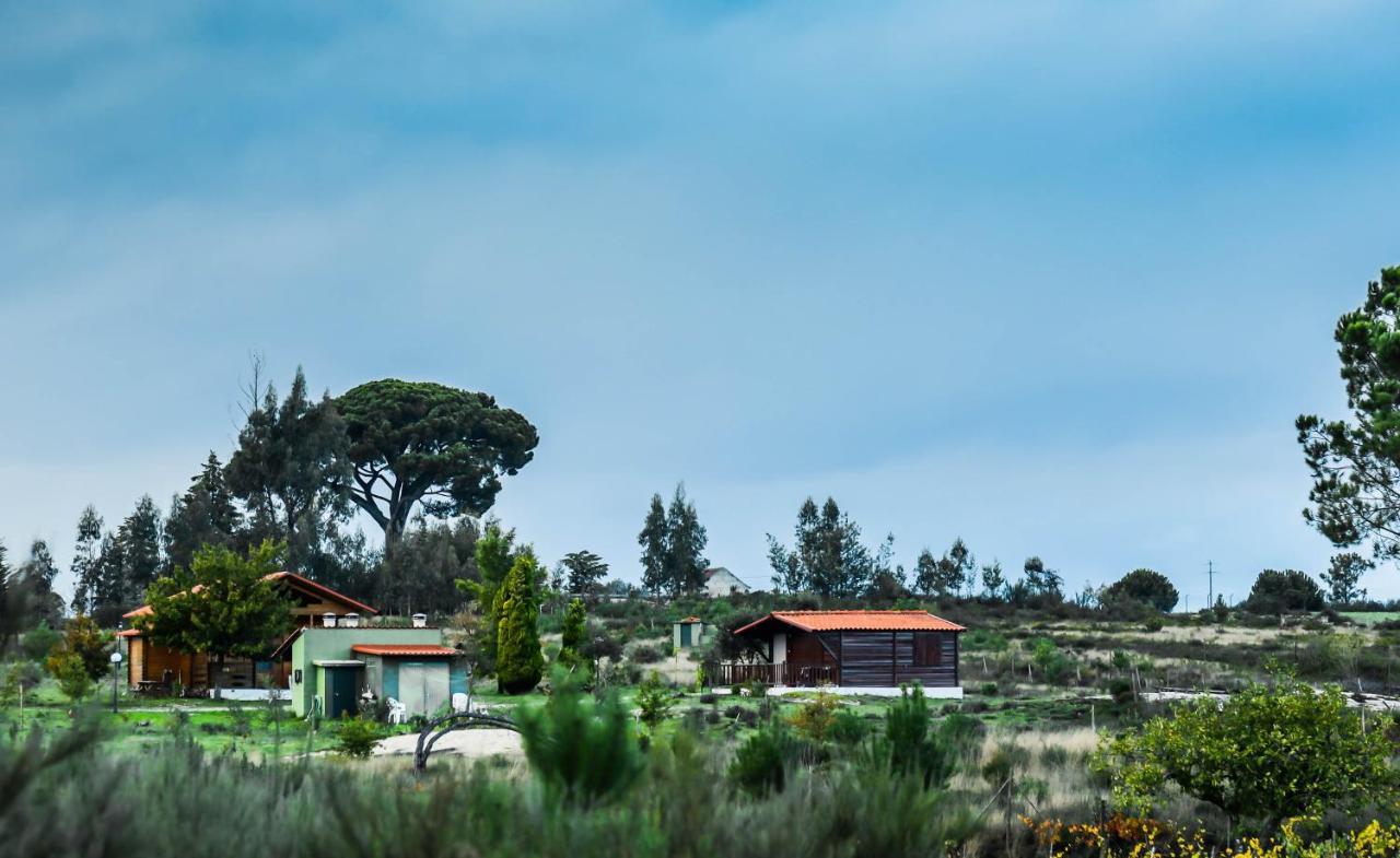 Vila Da Laje - Onde A Natureza O Envolve - Serra Da Estrela Oliveira do Hospital Exteriör bild