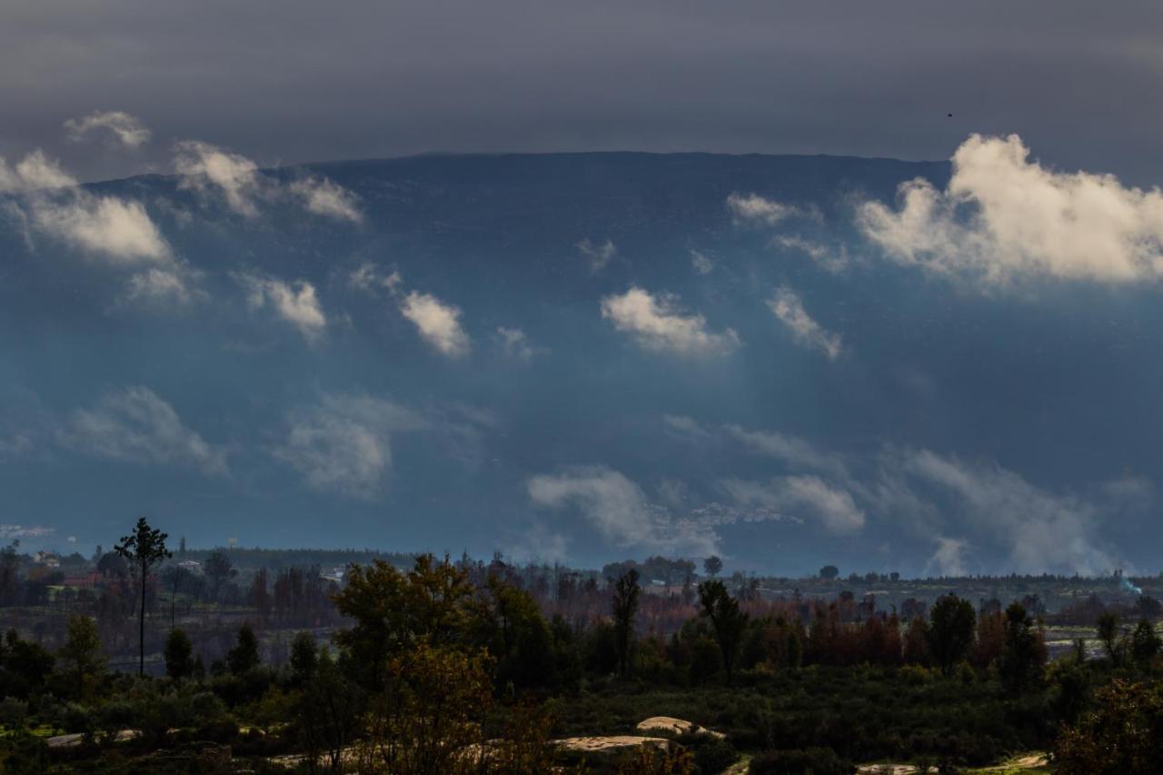 Vila Da Laje - Onde A Natureza O Envolve - Serra Da Estrela Oliveira do Hospital Exteriör bild