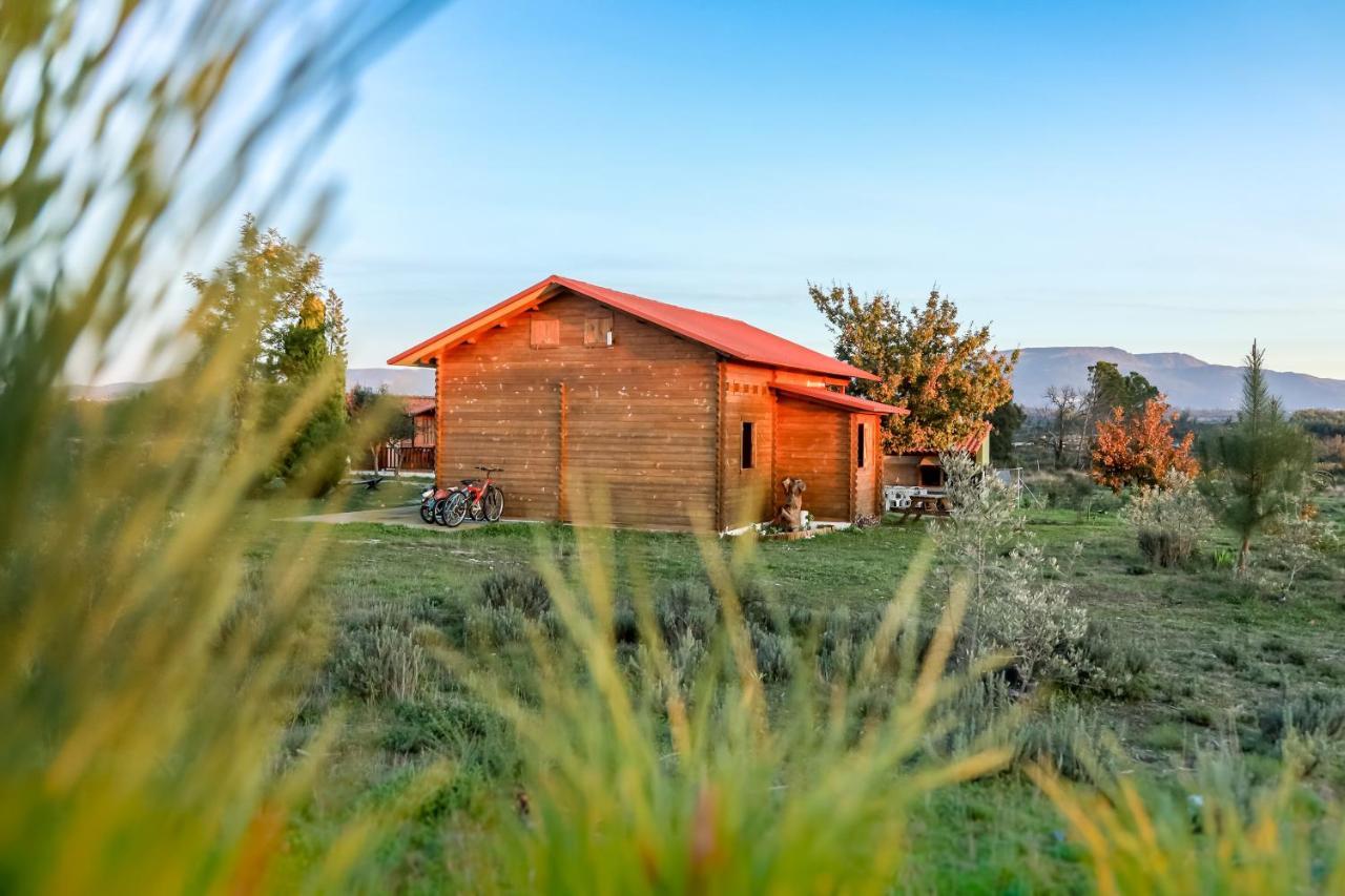 Vila Da Laje - Onde A Natureza O Envolve - Serra Da Estrela Oliveira do Hospital Exteriör bild
