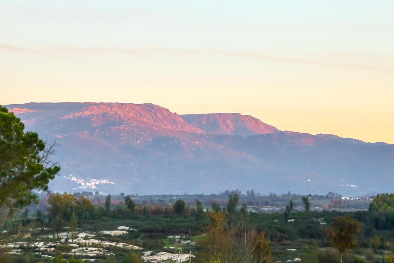 Vila Da Laje - Onde A Natureza O Envolve - Serra Da Estrela Oliveira do Hospital Exteriör bild