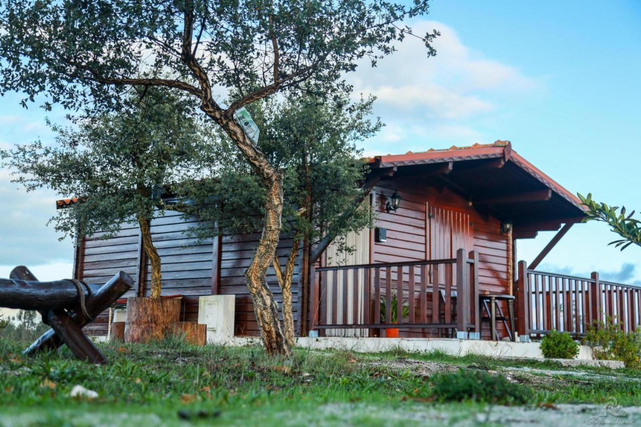 Vila Da Laje - Onde A Natureza O Envolve - Serra Da Estrela Oliveira do Hospital Exteriör bild
