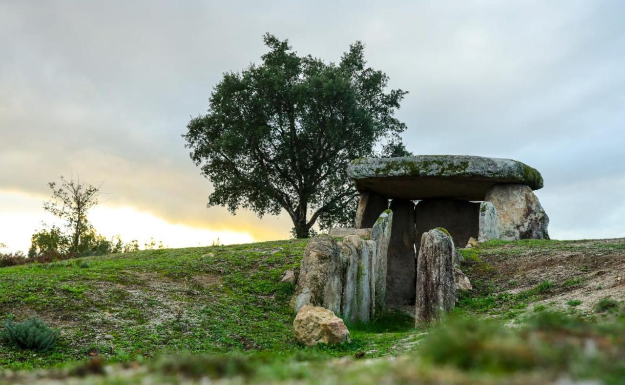 Vila Da Laje - Onde A Natureza O Envolve - Serra Da Estrela Oliveira do Hospital Exteriör bild