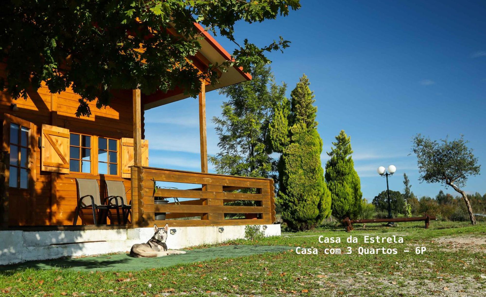 Vila Da Laje - Onde A Natureza O Envolve - Serra Da Estrela Oliveira do Hospital Exteriör bild